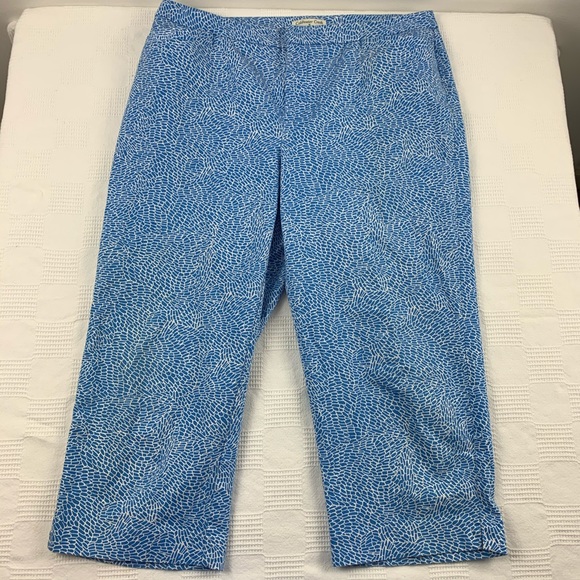 Coldwater Creek Pants - Coldwater Creek blue and white capri pants W 12